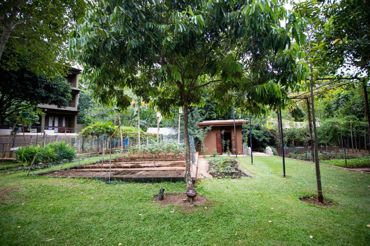 Hotel Kalu'S Hideaway Udawalawe Esterno foto