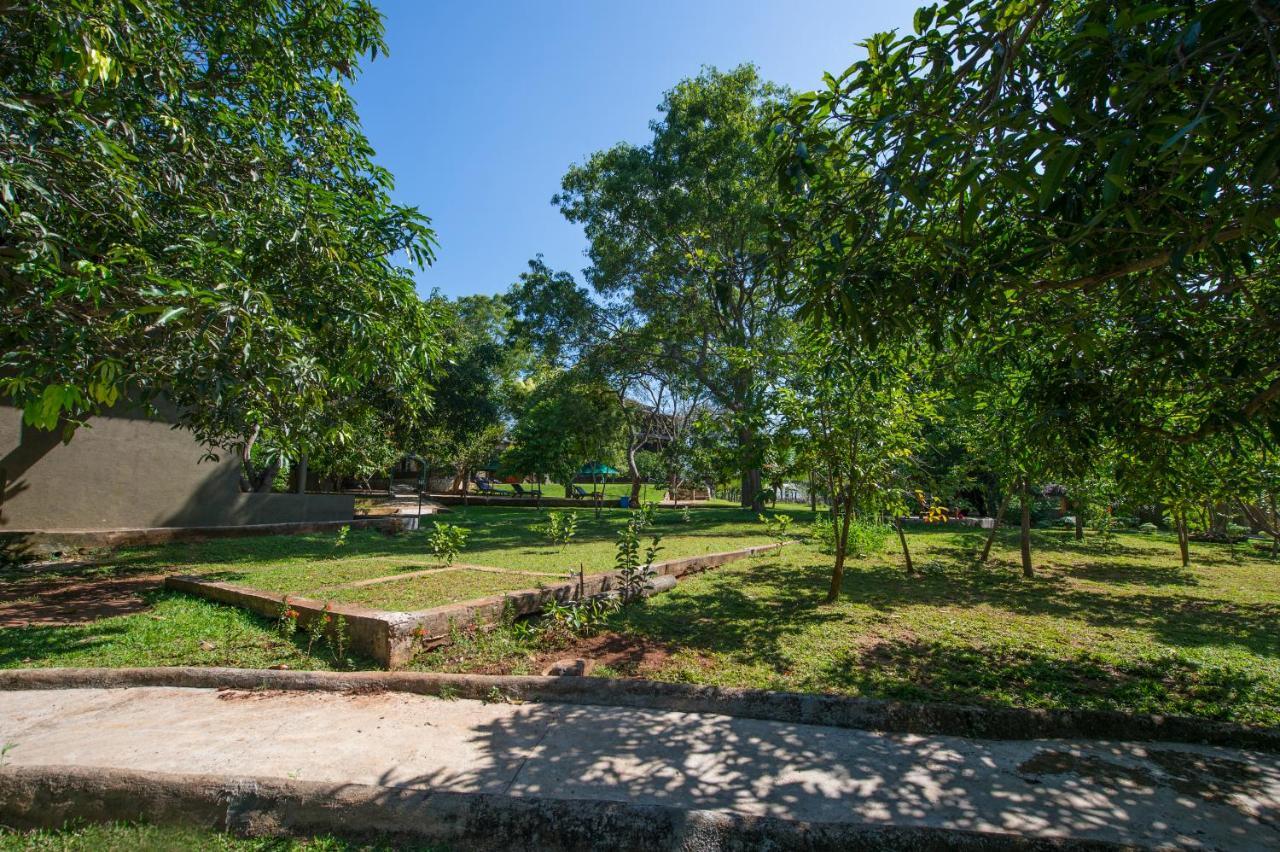 Hotel Kalu'S Hideaway Udawalawe Esterno foto